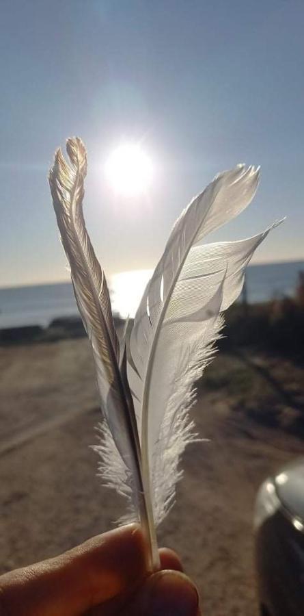 En Plein Coeur De L'Ile D'Oleron, Suite Parentale. Dolus d'Oléron Eksteriør bilde