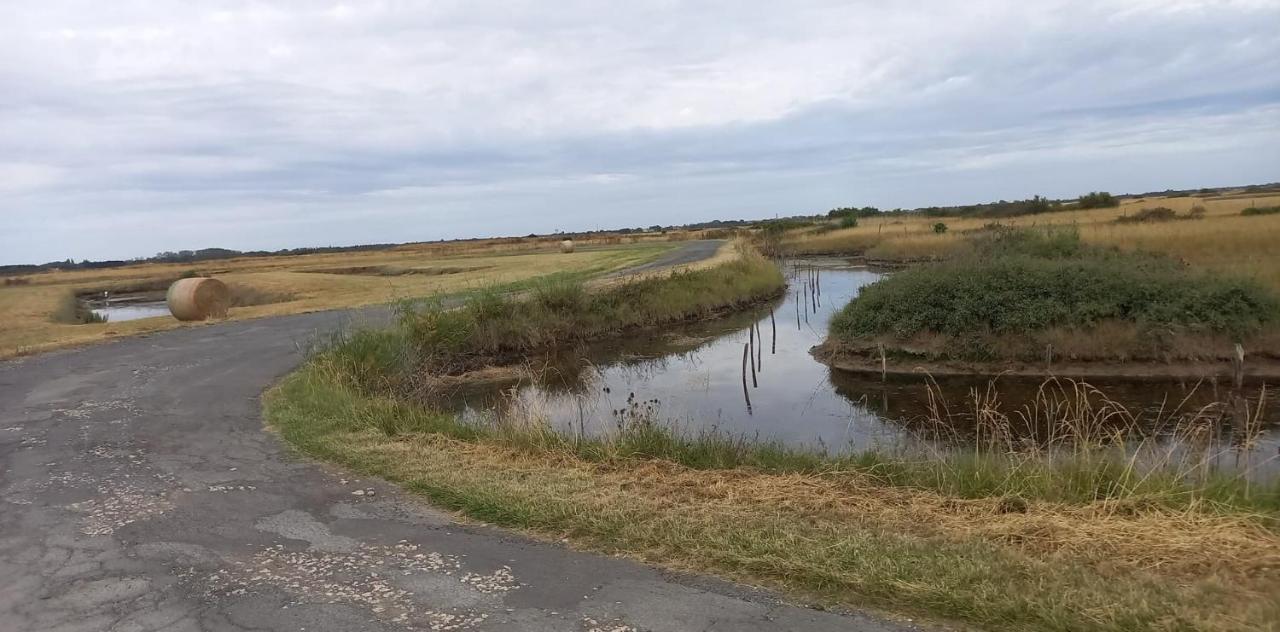 En Plein Coeur De L'Ile D'Oleron, Suite Parentale. Dolus d'Oléron Eksteriør bilde